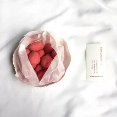 宠物探险家bt版下载